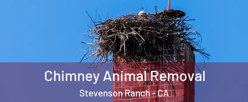 Chimney Animal Removal Stevenson Ranch - CA
